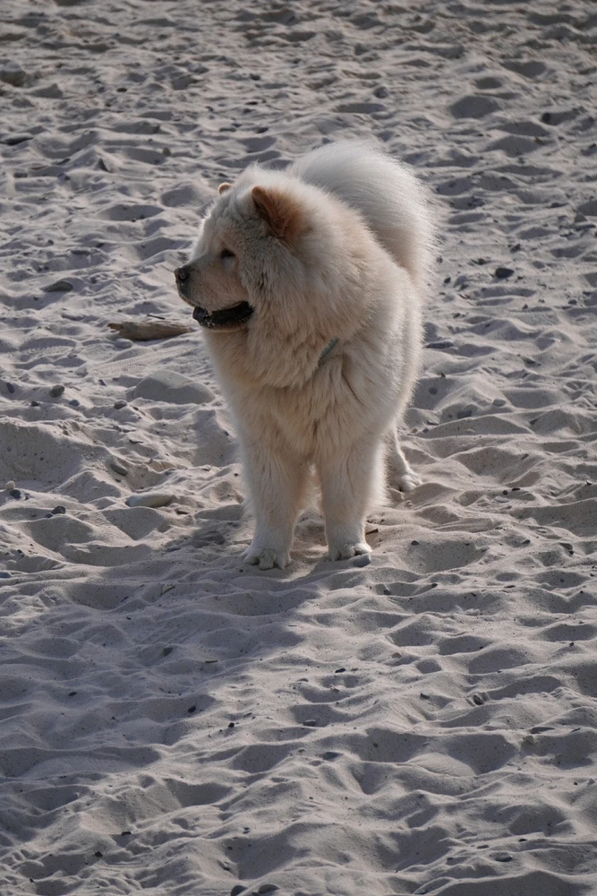 Image uploaded by Benardo