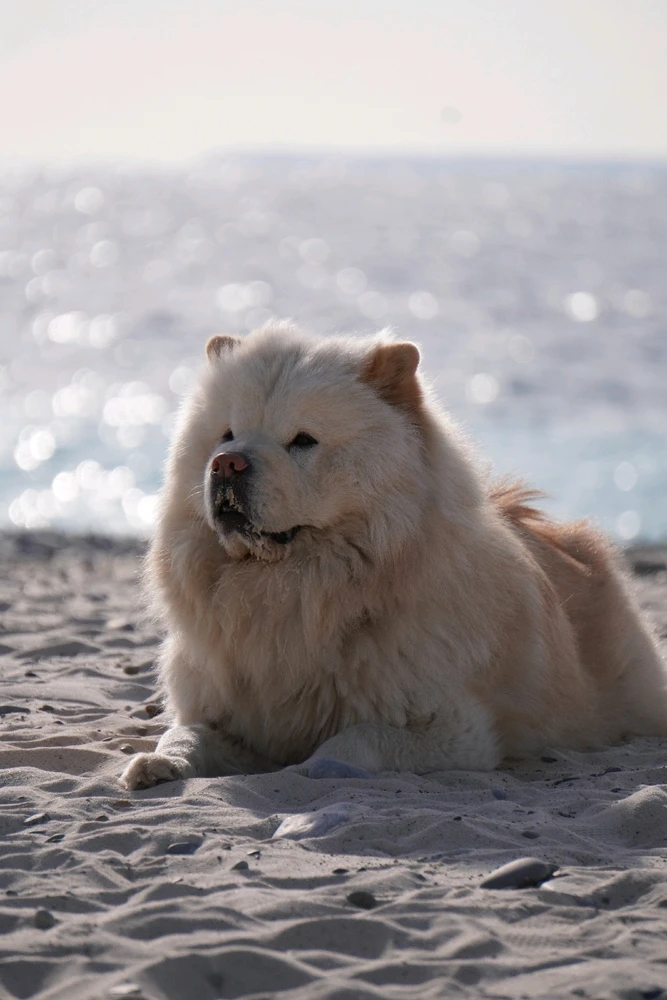 Image uploaded by Benardo