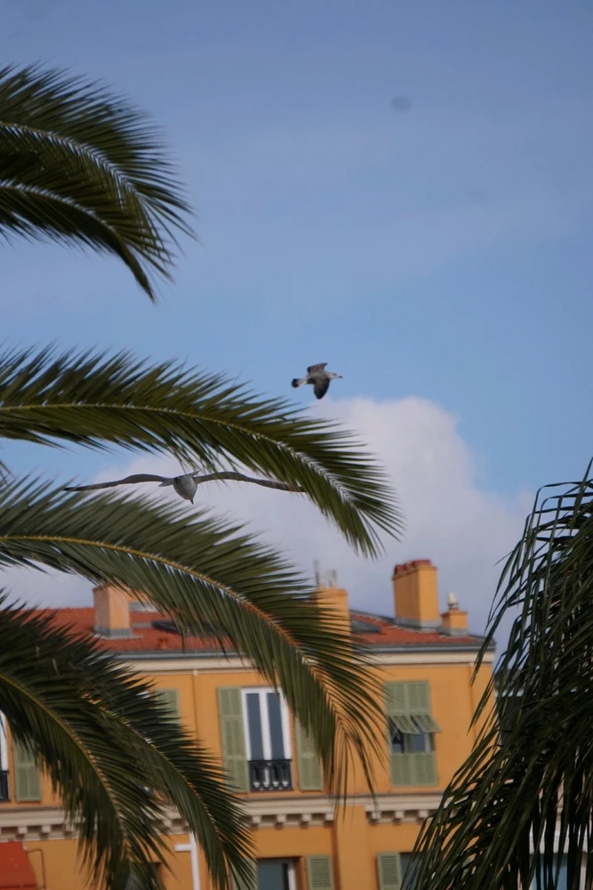 Image uploaded by Benardo