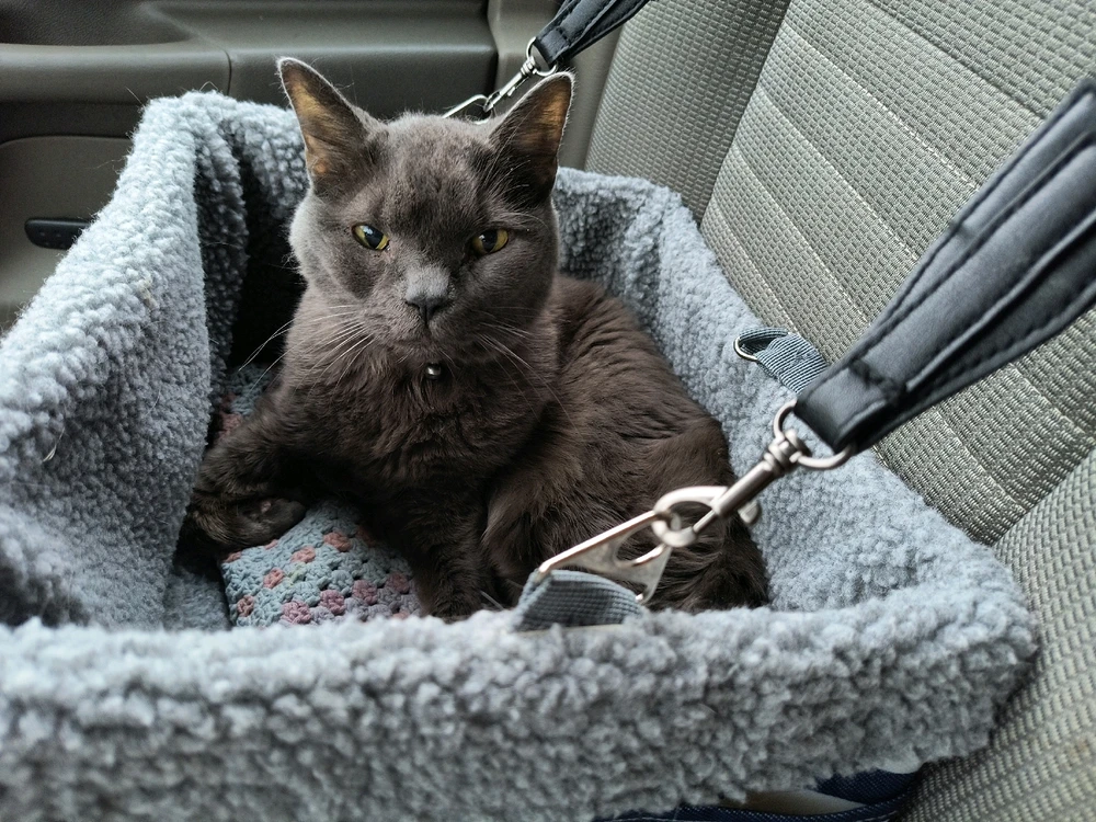 Image uploaded by Andrew