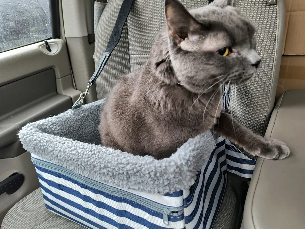 Image uploaded by Andrew