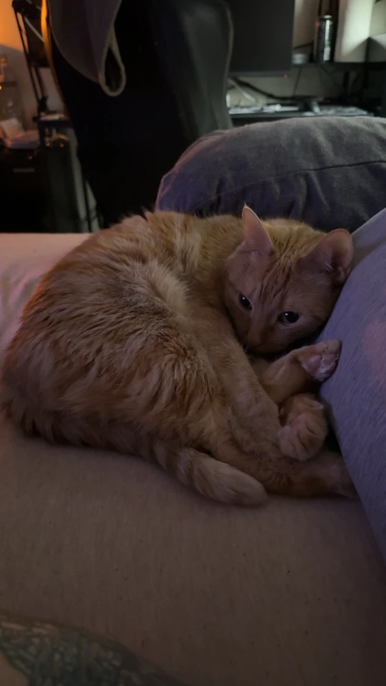 GIF uploaded by Aaron