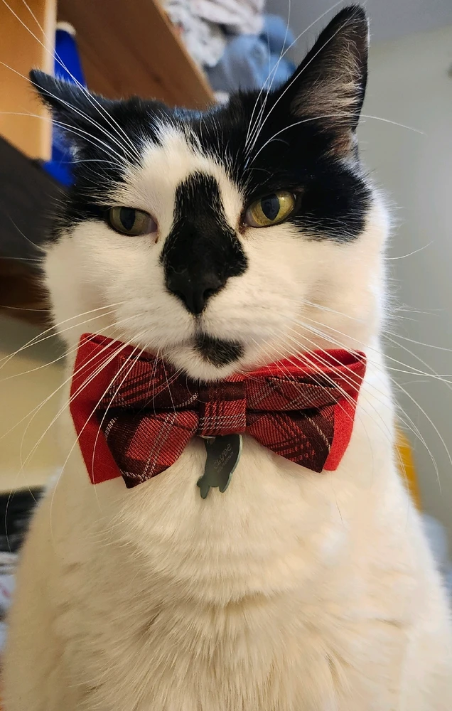 GIF uploaded by Molly