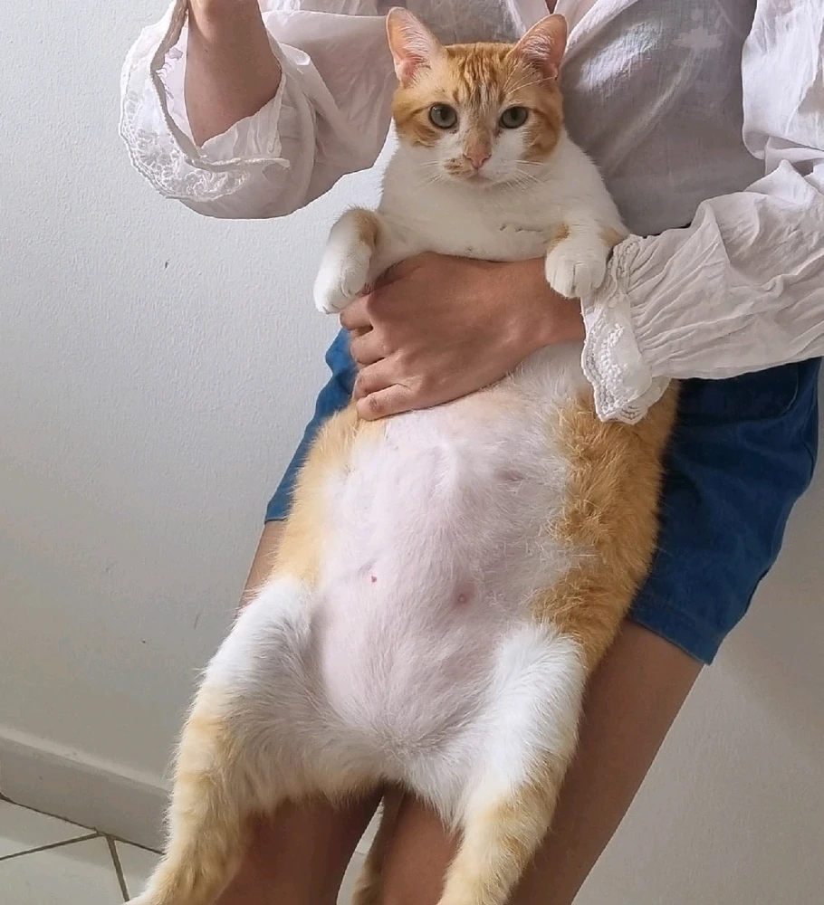 GIF enviado por Dulce Maria