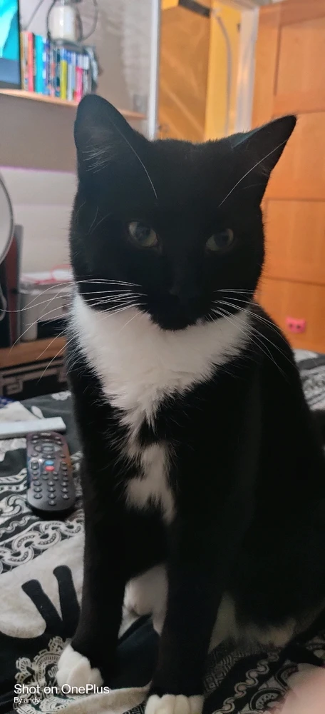 Image uploaded by Andy