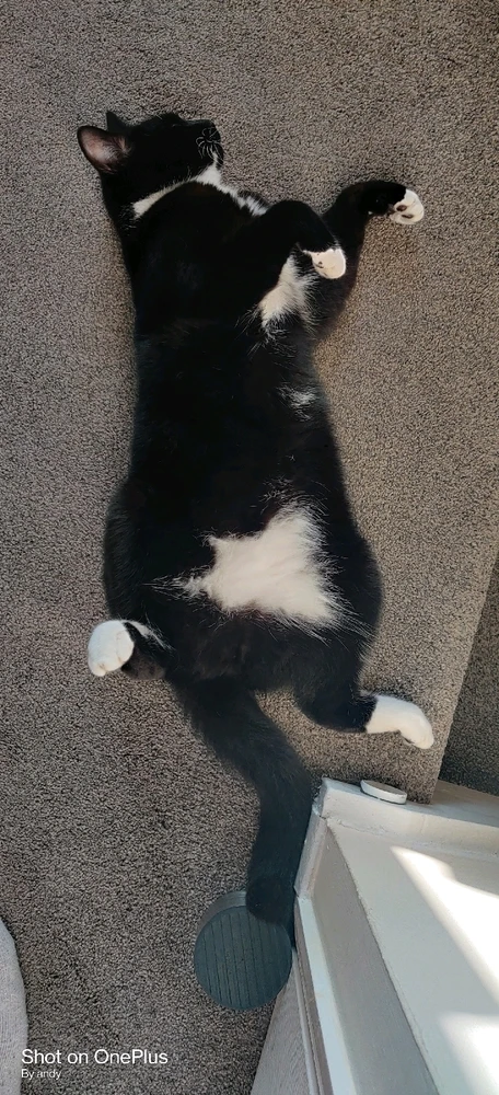 Image uploaded by Andy