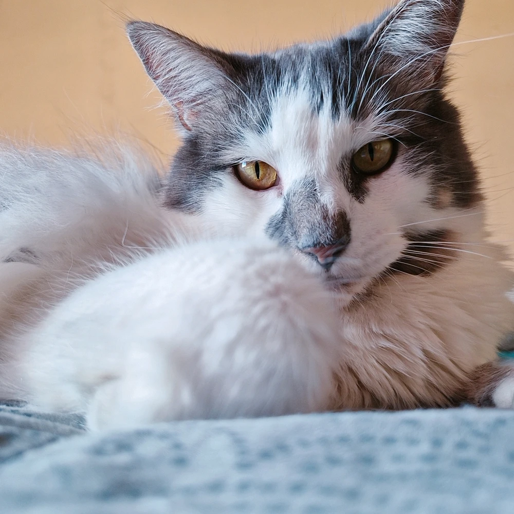 GIF uploaded by Harriet