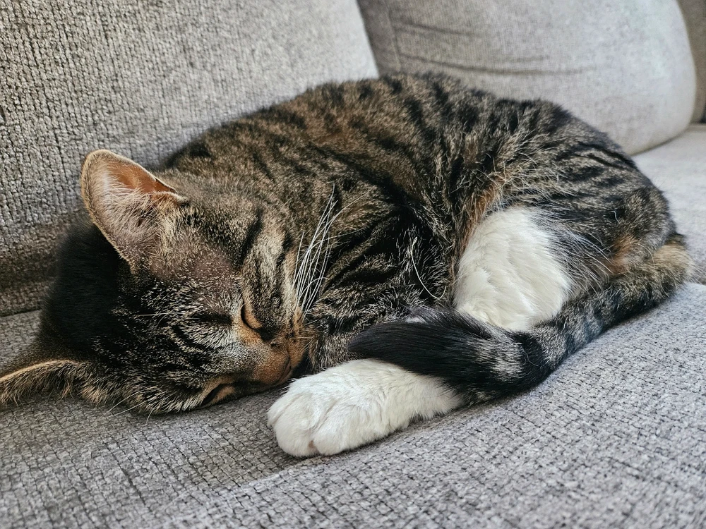 GIF uploaded by Harper