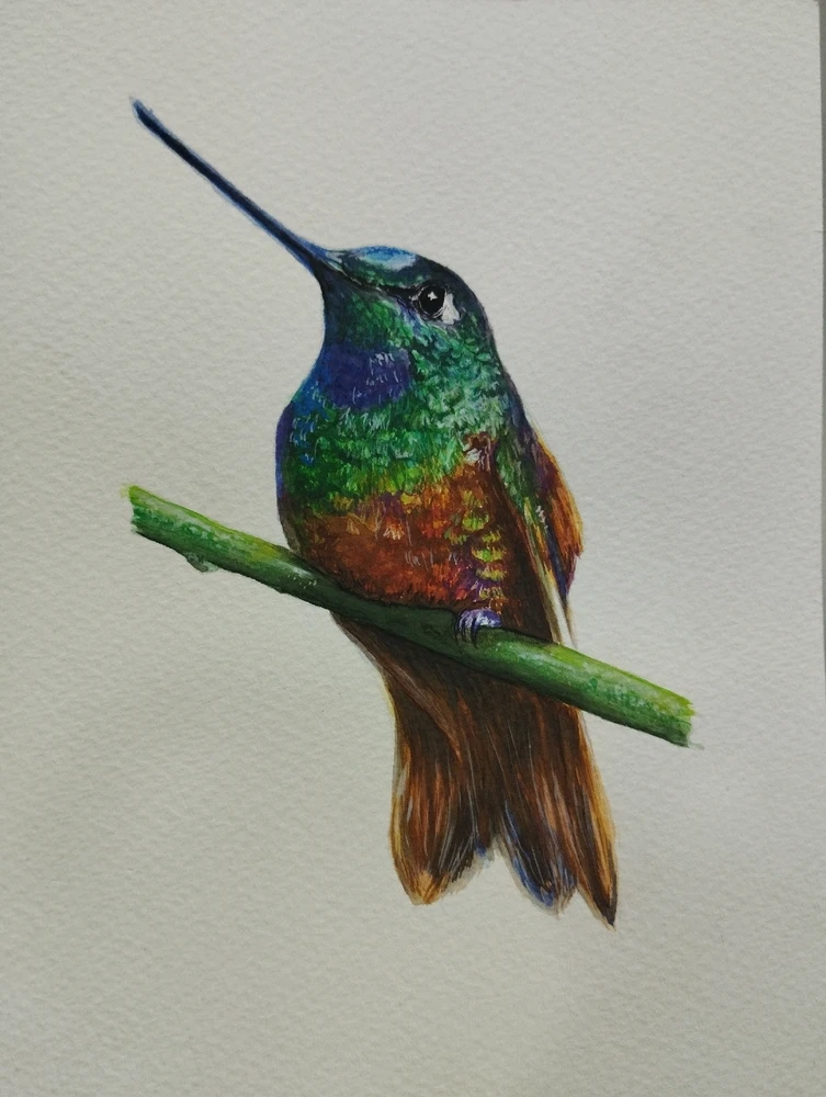 GIF subido por Santiago M