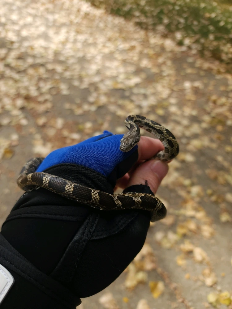 GIF uploaded by Mike