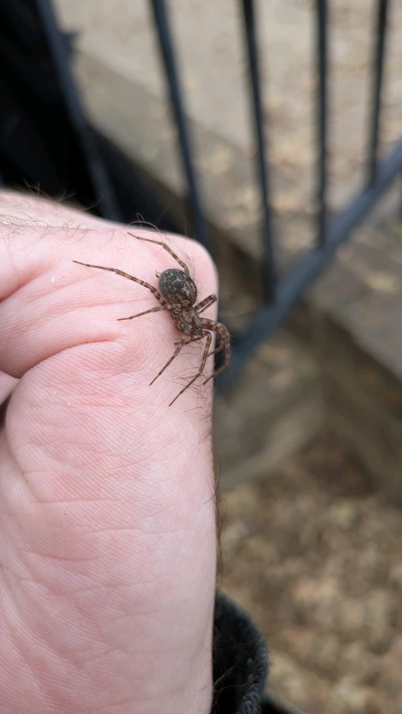 GIF uploaded by Jonah