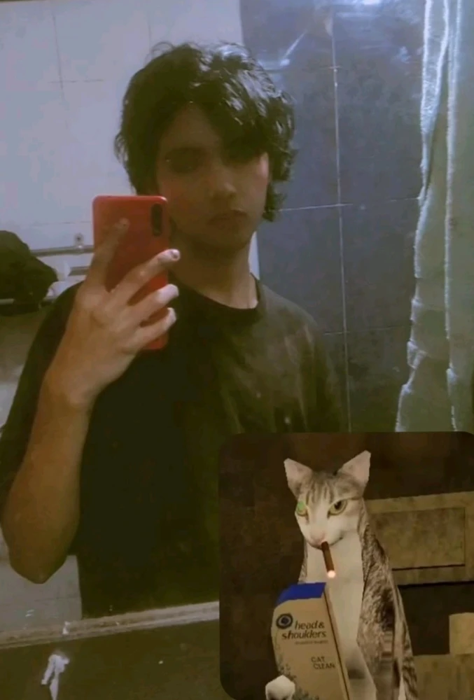 Imagen subida por Massiel