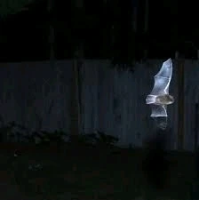 GIF uploaded by DezzieDee