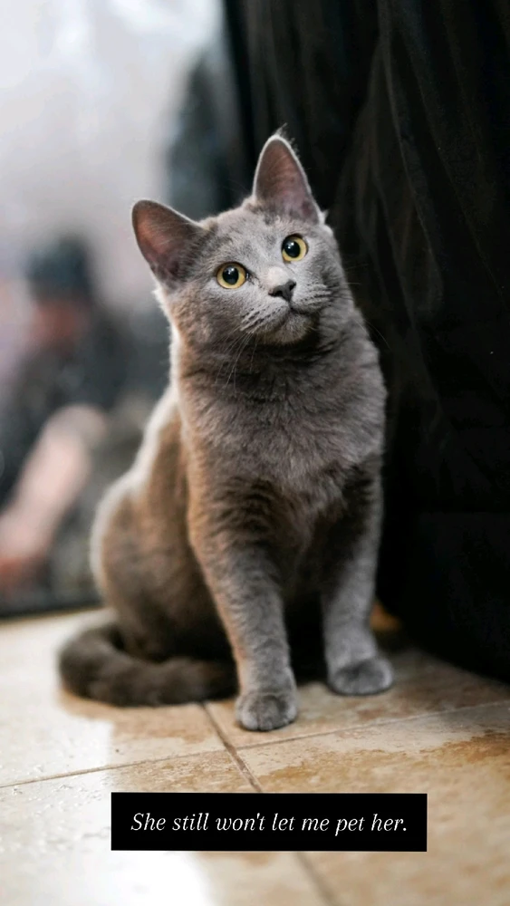 GIF uploaded by Marcos