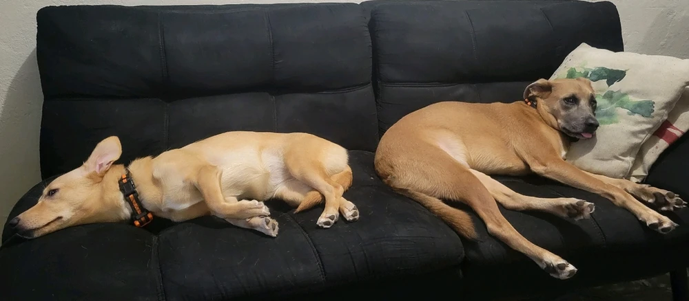 GIF uploaded by Yelitza