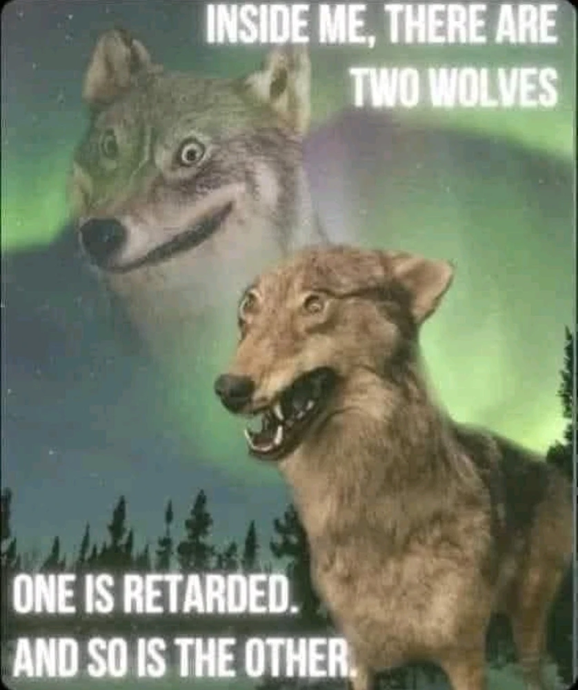 GIF uploaded by Fernando