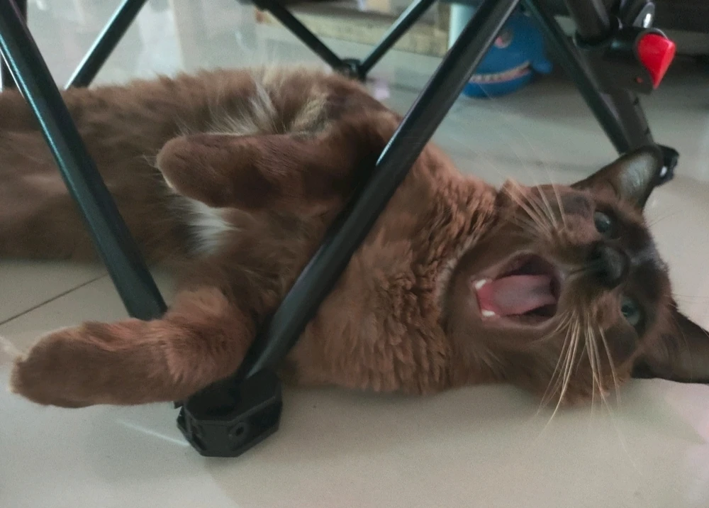 GIF uploaded by Jellyfish