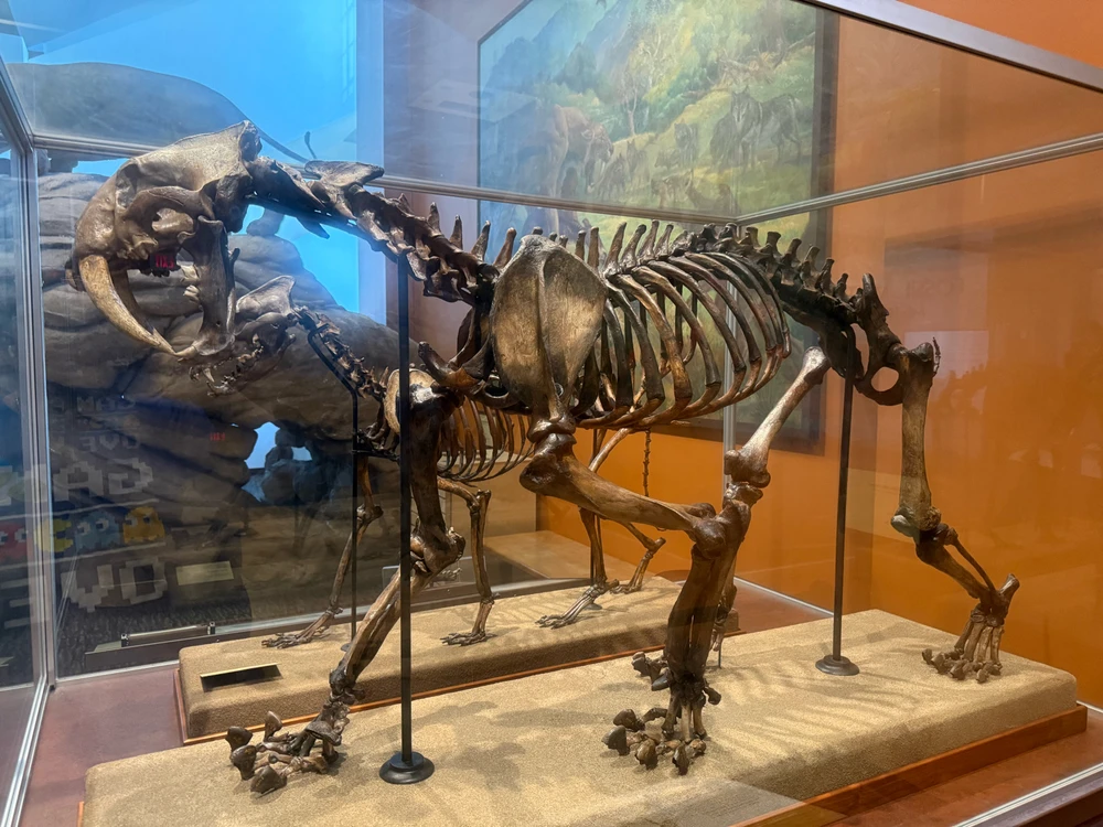 Image uploaded by Guy-O-Blanco