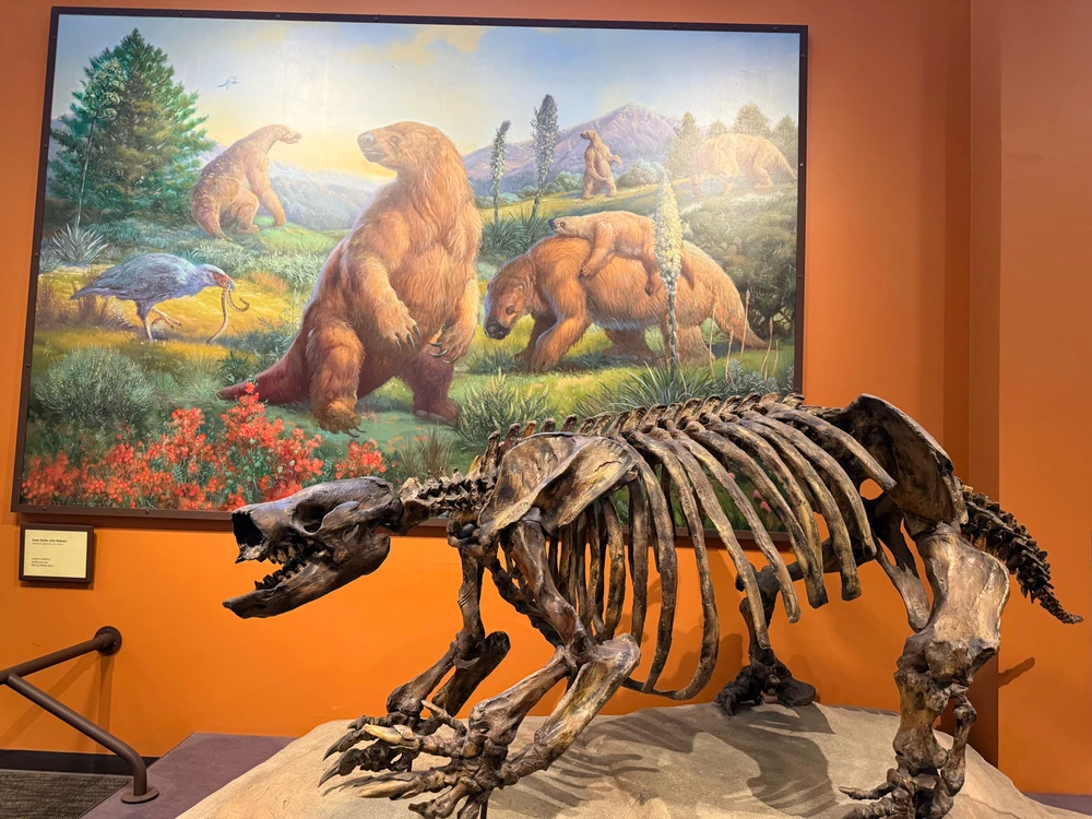 Image uploaded by Guy-O-Blanco