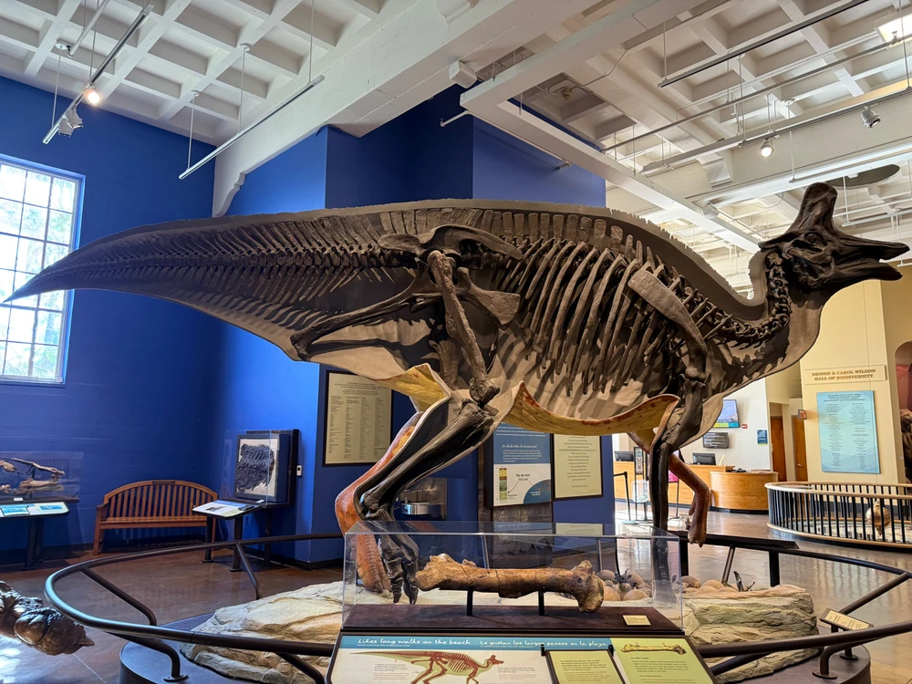 Image uploaded by Guy-O-Blanco