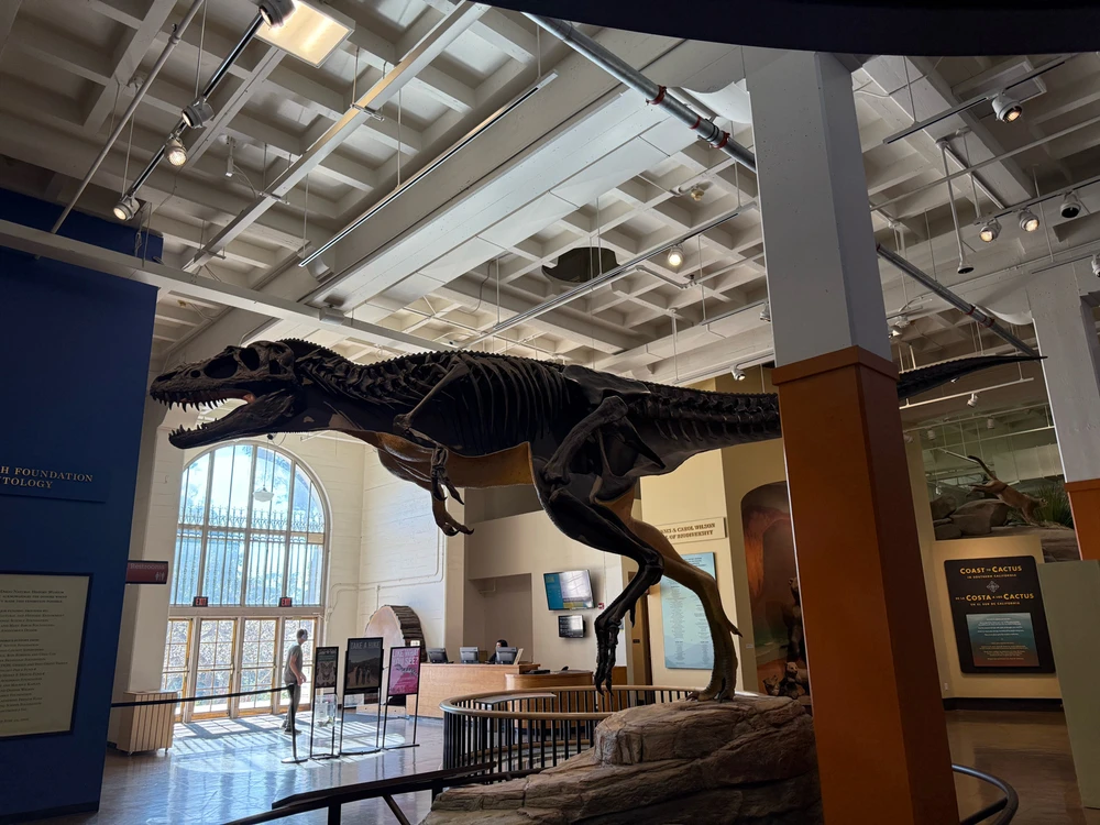 Image uploaded by Guy-O-Blanco