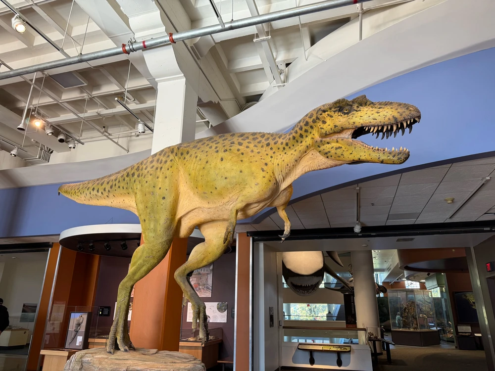 Image uploaded by Guy-O-Blanco