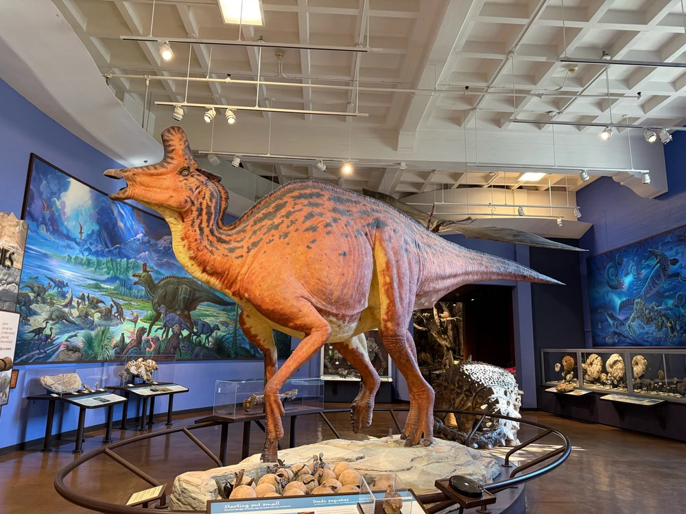 Image uploaded by Guy-O-Blanco