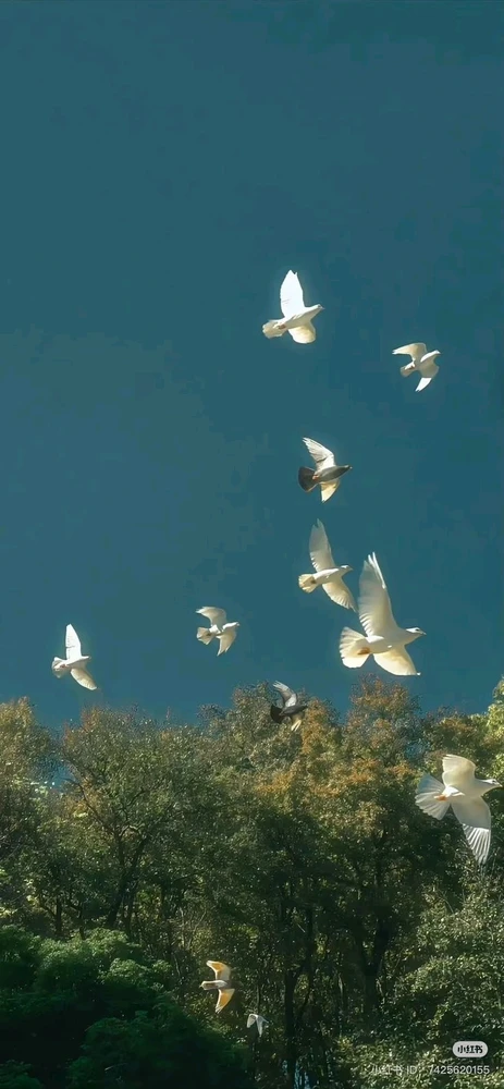 GIF uploaded by Dr.Vivek