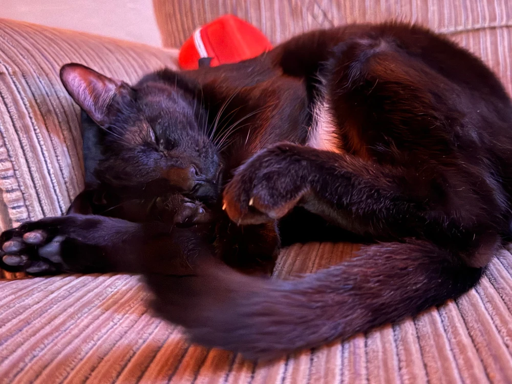 GIF uploaded by Ethan