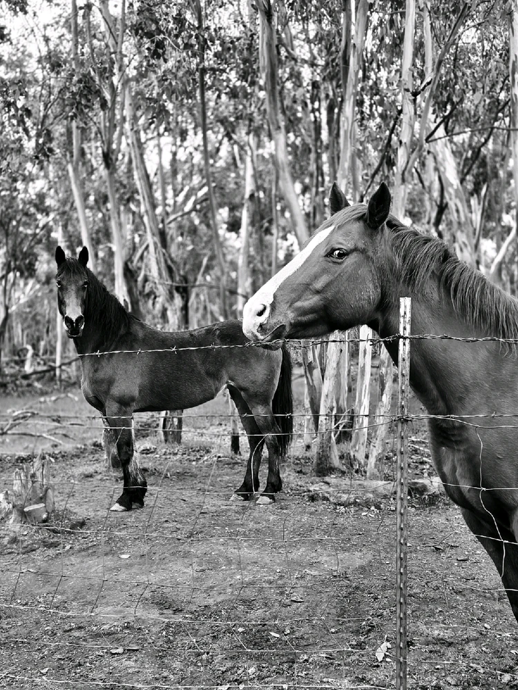 GIF uploaded by Eileen