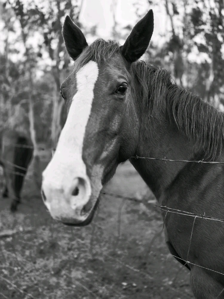 GIF uploaded by Eileen