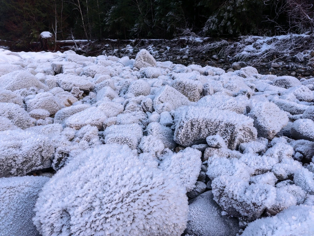 Image uploaded by Sean Olson