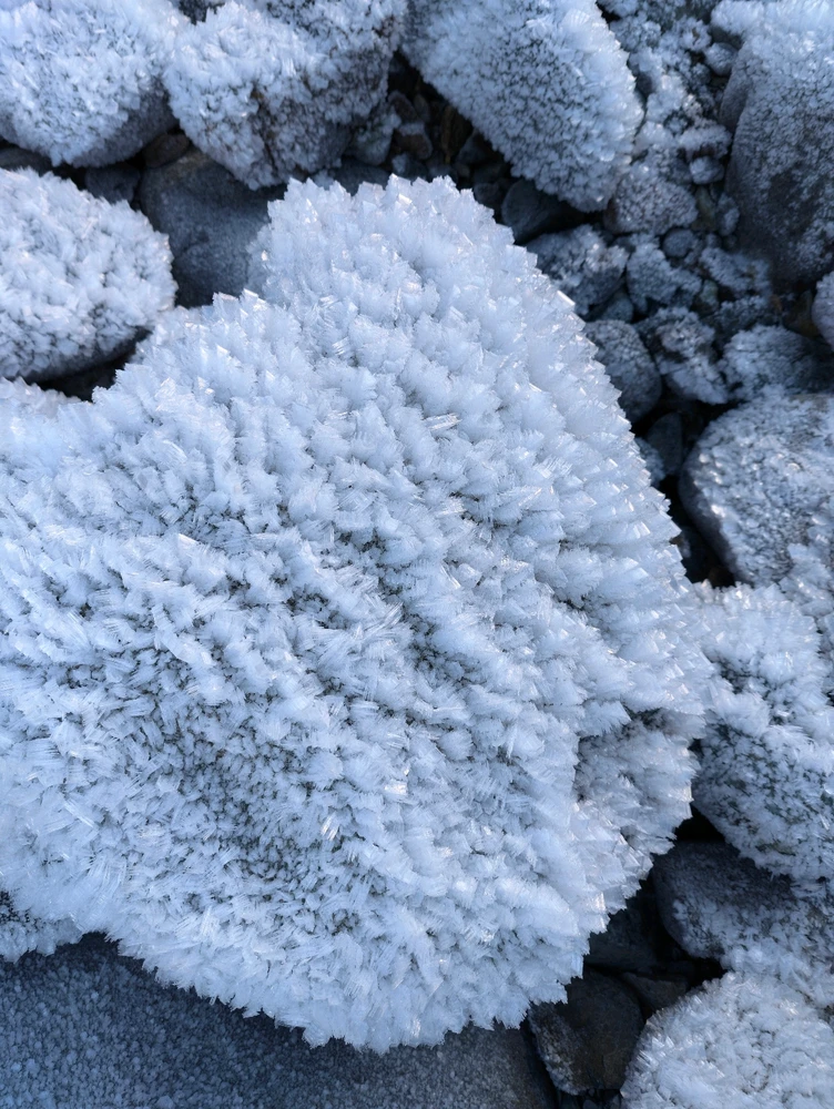 Image uploaded by Sean Olson