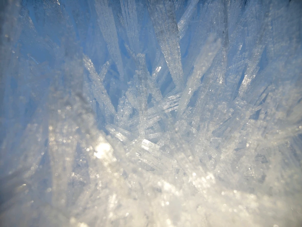 Image uploaded by Sean Olson