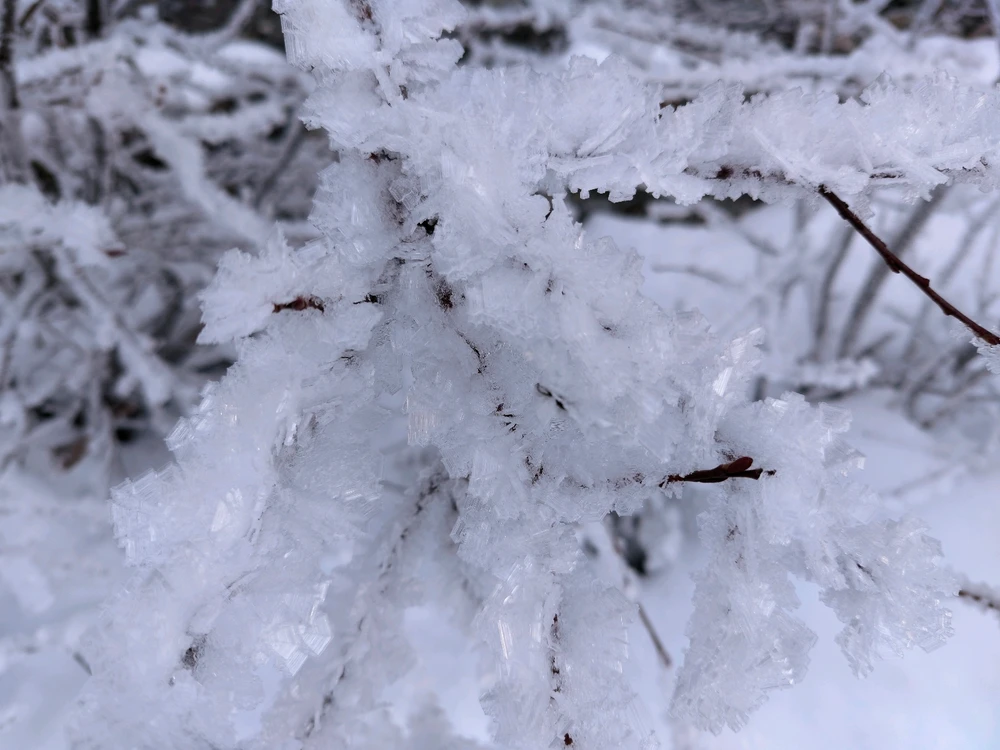 Image uploaded by Sean Olson