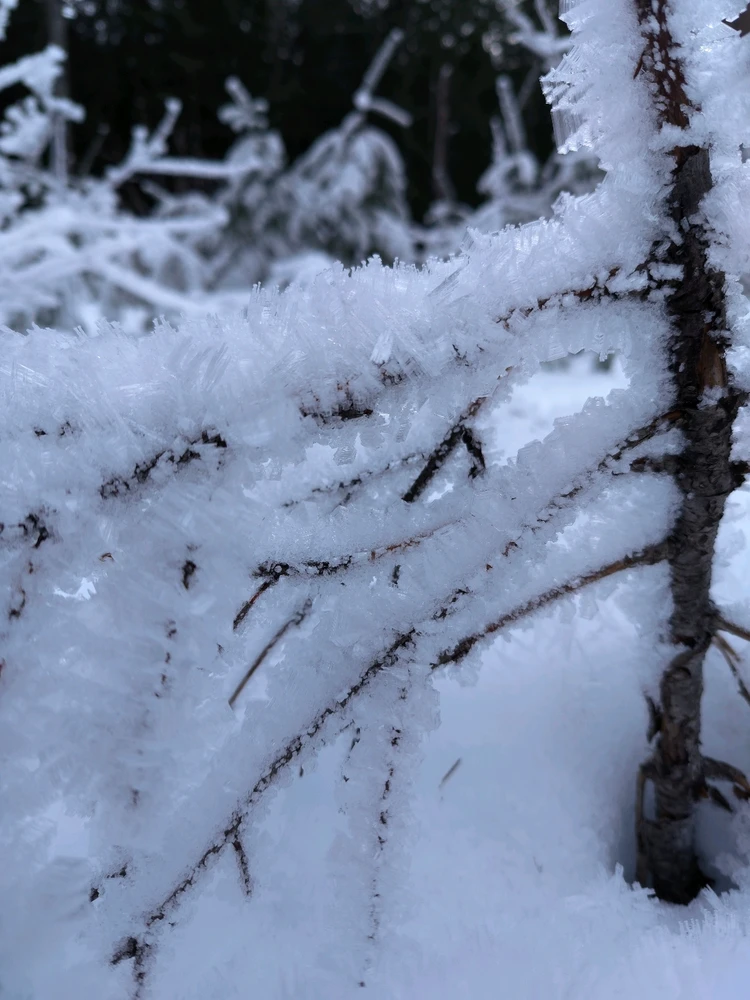 Image uploaded by Sean Olson