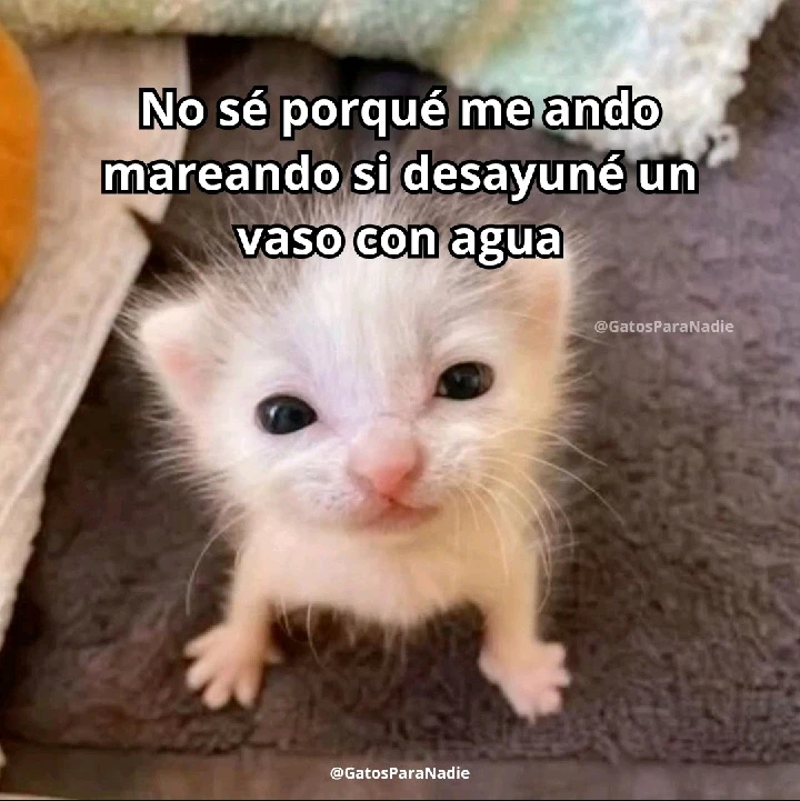 GIF subido por Germán