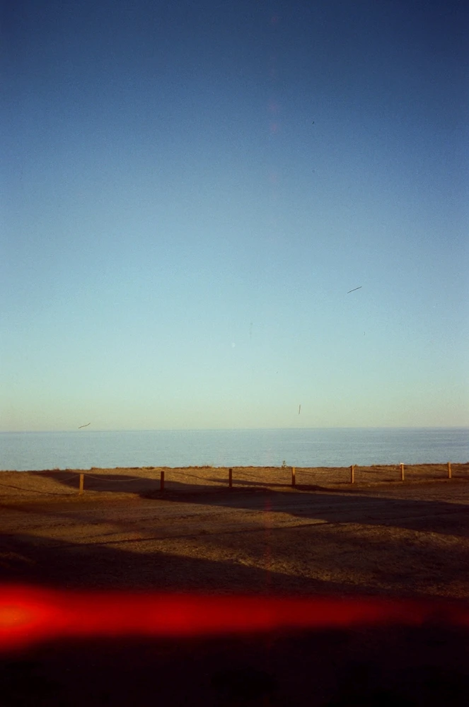 Image uploaded by Liza