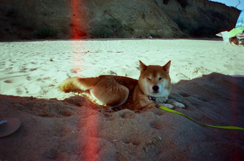 Image uploaded by Liza