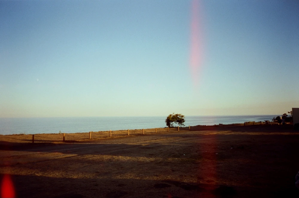 Image uploaded by Liza