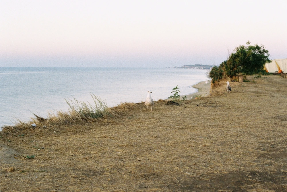 Image uploaded by Liza