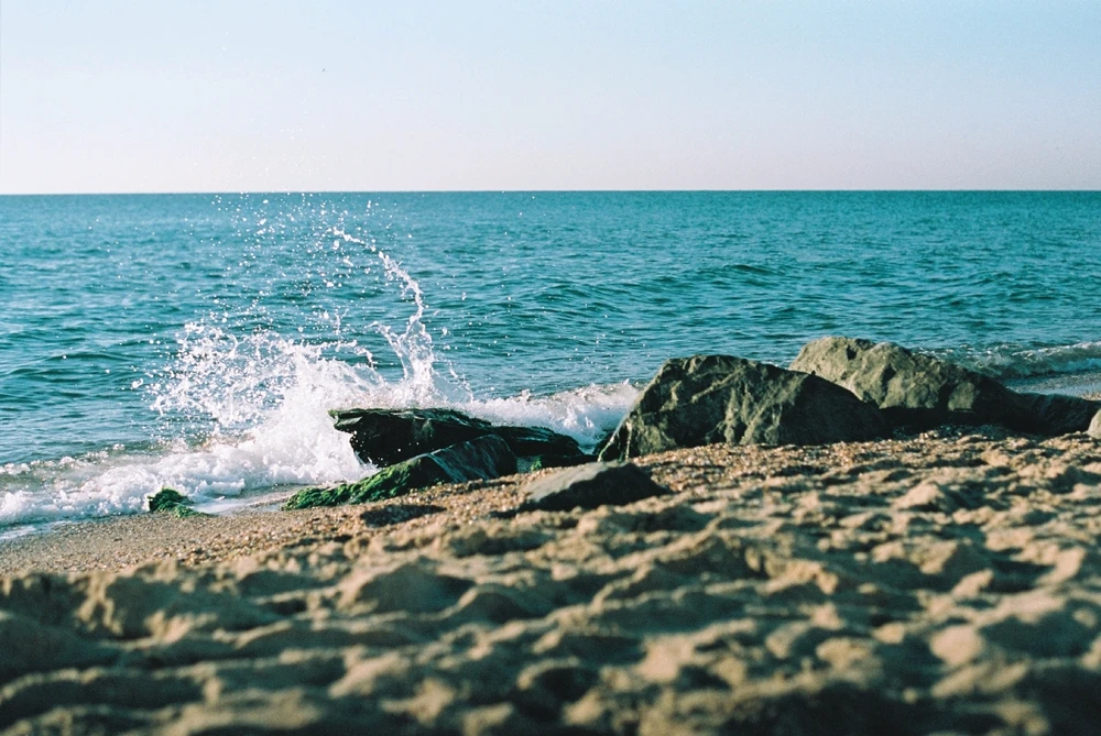 Image uploaded by Liza