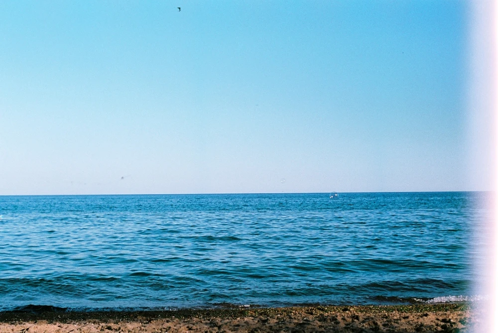 Image uploaded by Liza