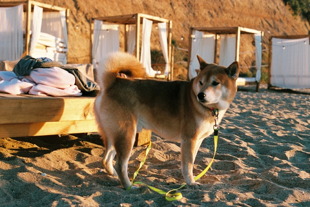 Image uploaded by Liza