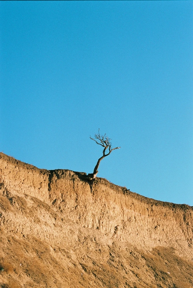 Image uploaded by Liza