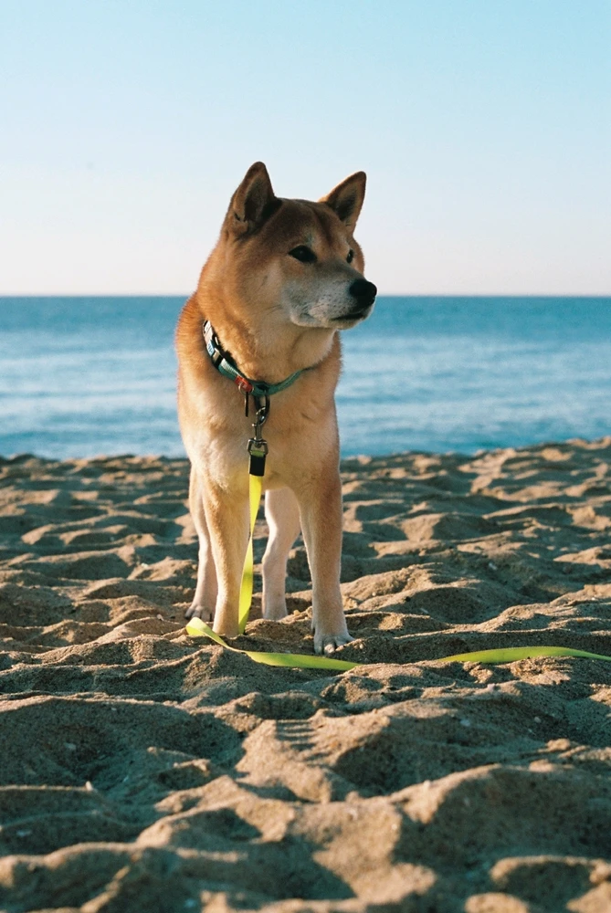 Image uploaded by Liza