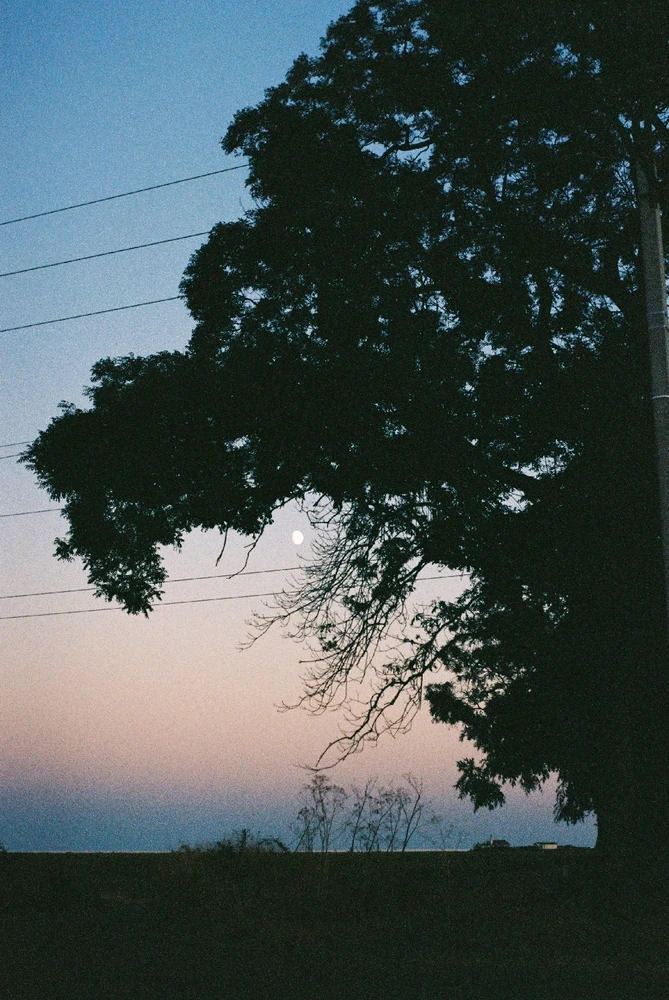 Image uploaded by Liza