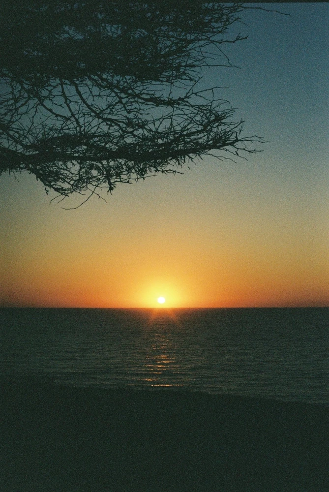 Image uploaded by Liza