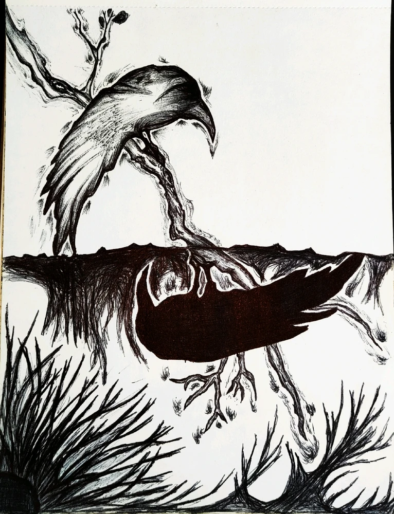 Imagen subida por Alvin