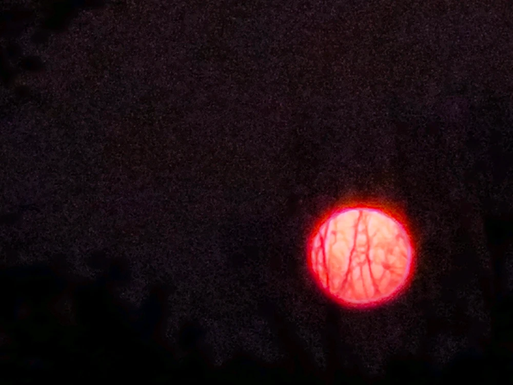 GIF uploaded by Raj Aryan